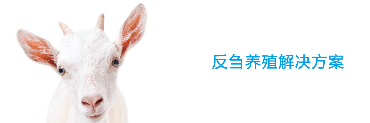 反刍养殖服务方案