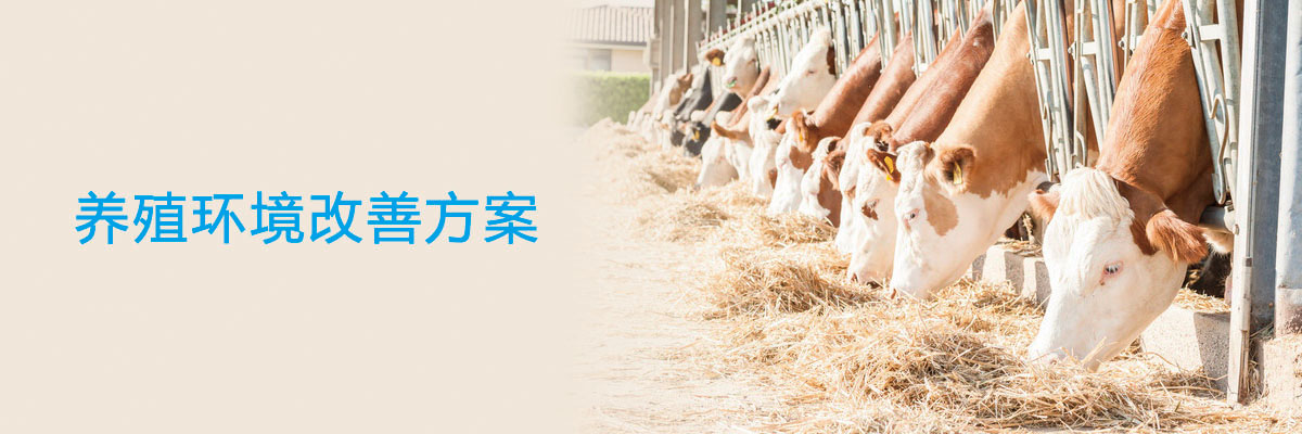 养殖环境改善方案