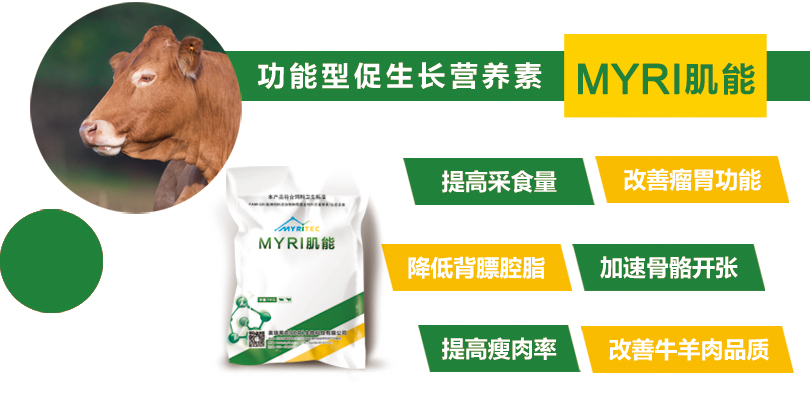 1577775355139675.jpg 肌能.jpg