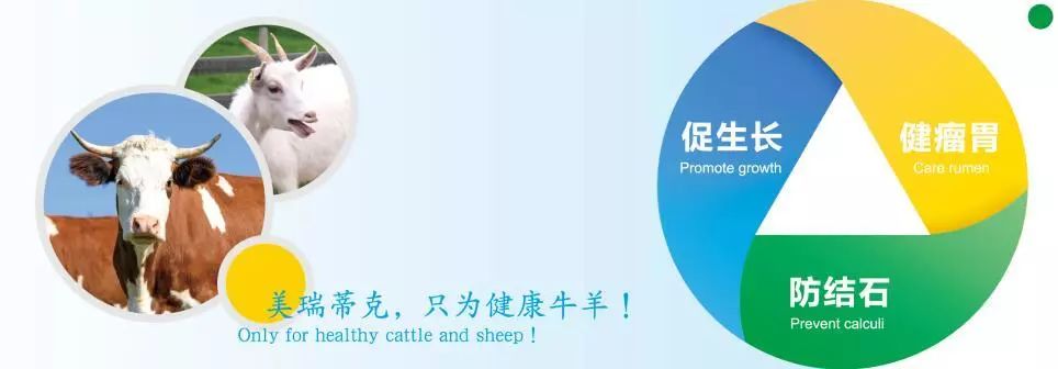 1577777271254894.jpg 微信图片_20191231152630.jpg