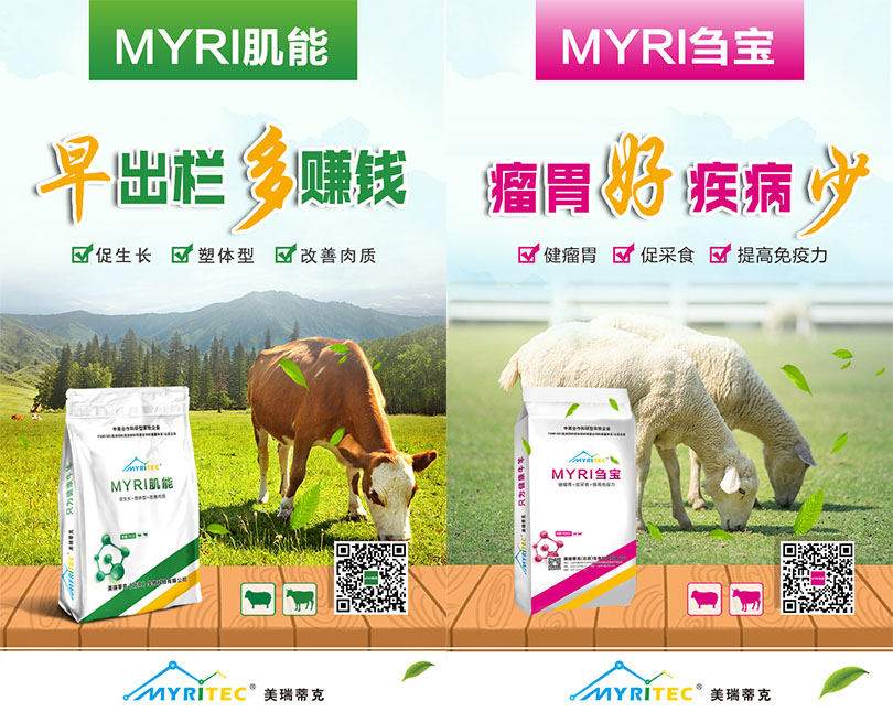 1591585093384787.jpg 5.jpg