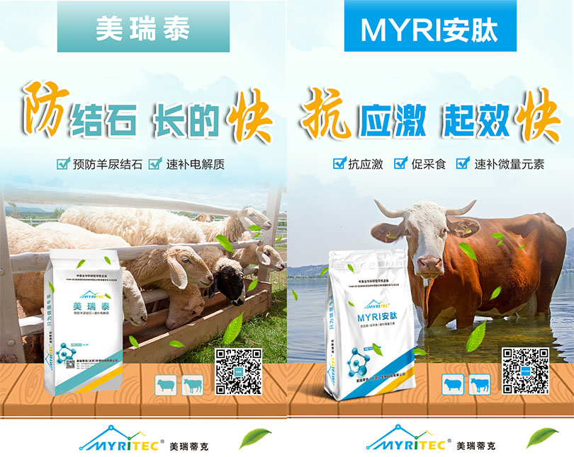 1591585309447274.jpg 6.jpg