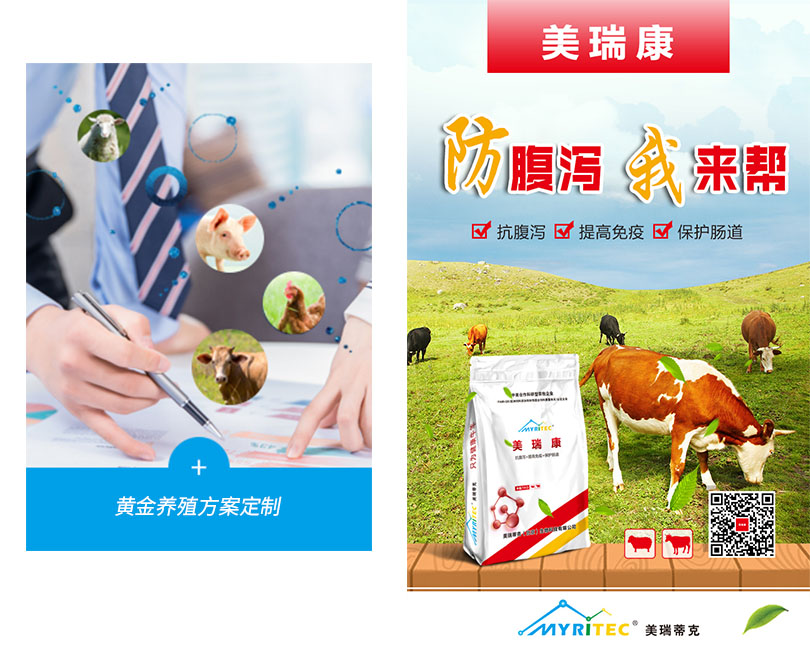 1591585317769942.jpg 7.jpg