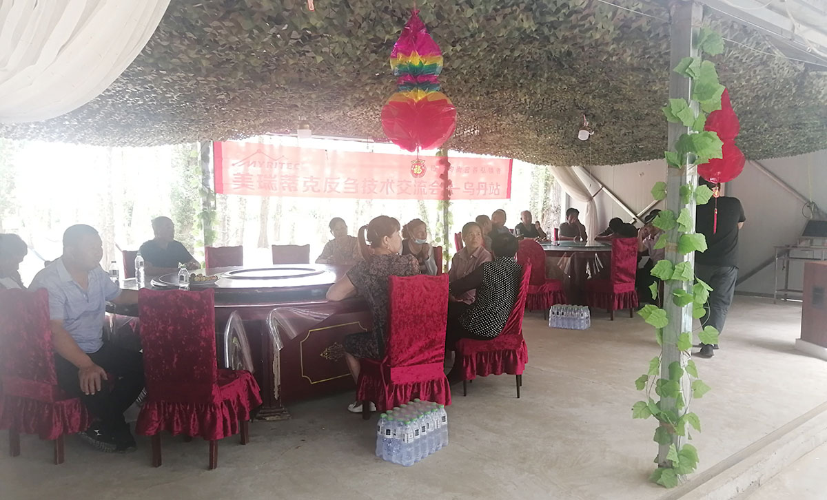 1597027503323247.jpg 1597027503323247.jpg