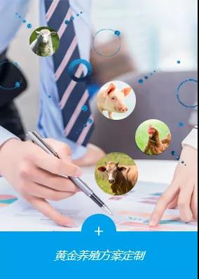 1618887071296027.jpg 1618887071296027.jpg