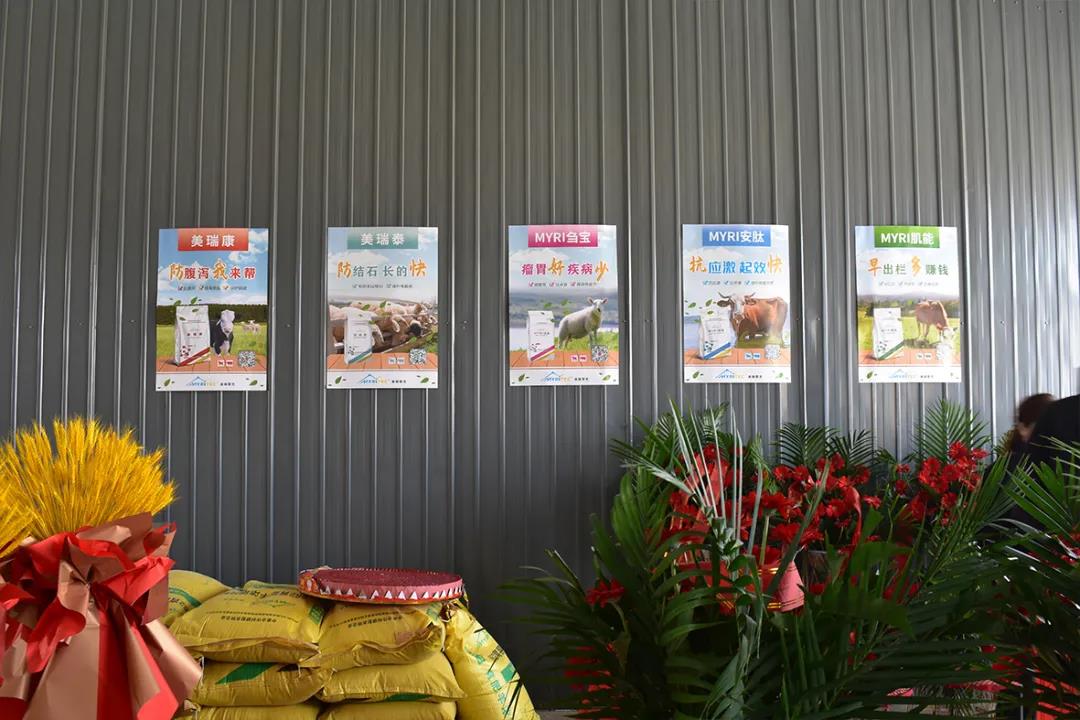 1618887114890923.jpg 1618887114890923.jpg