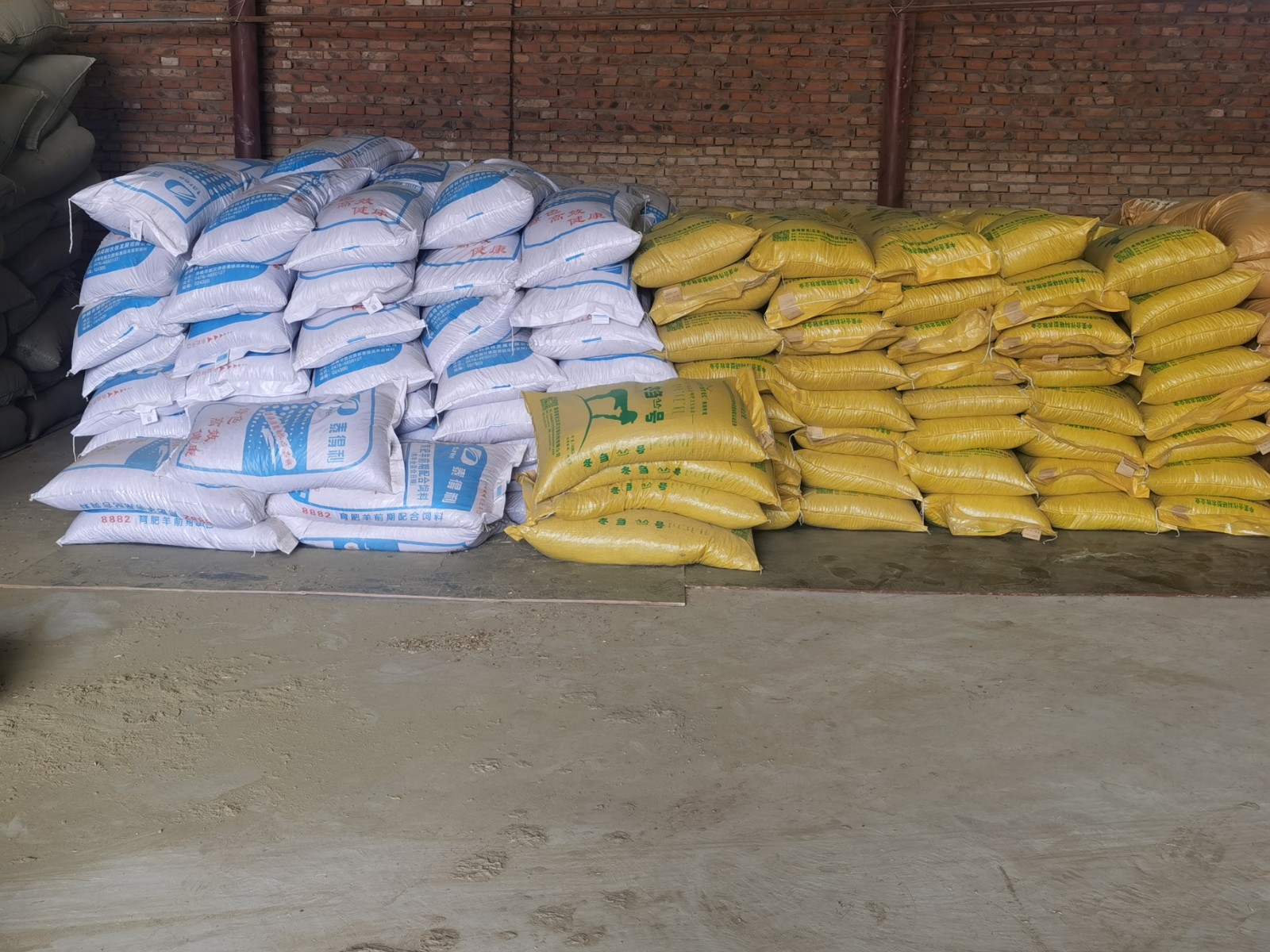 1630723500404125.jpg 1630723500404125.jpg