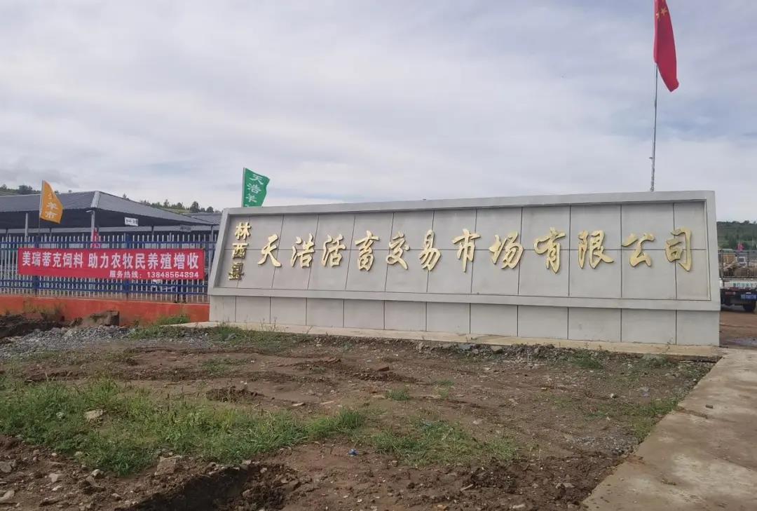 用脚步丈量反刍养殖 凭质量赢得客户信任