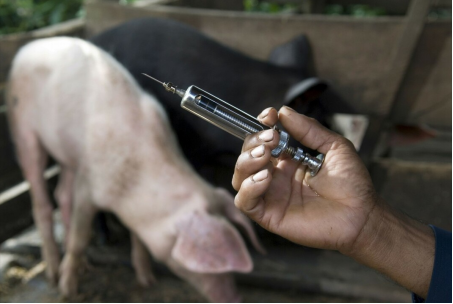 1662449909556211.png image.png