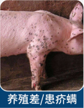 1663054238139595.png image.png