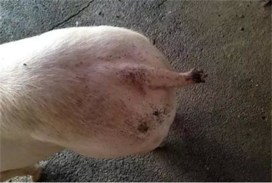 1663054572431383.png image.png