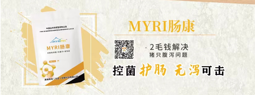 1683277720879277.png 1683277720879277.png