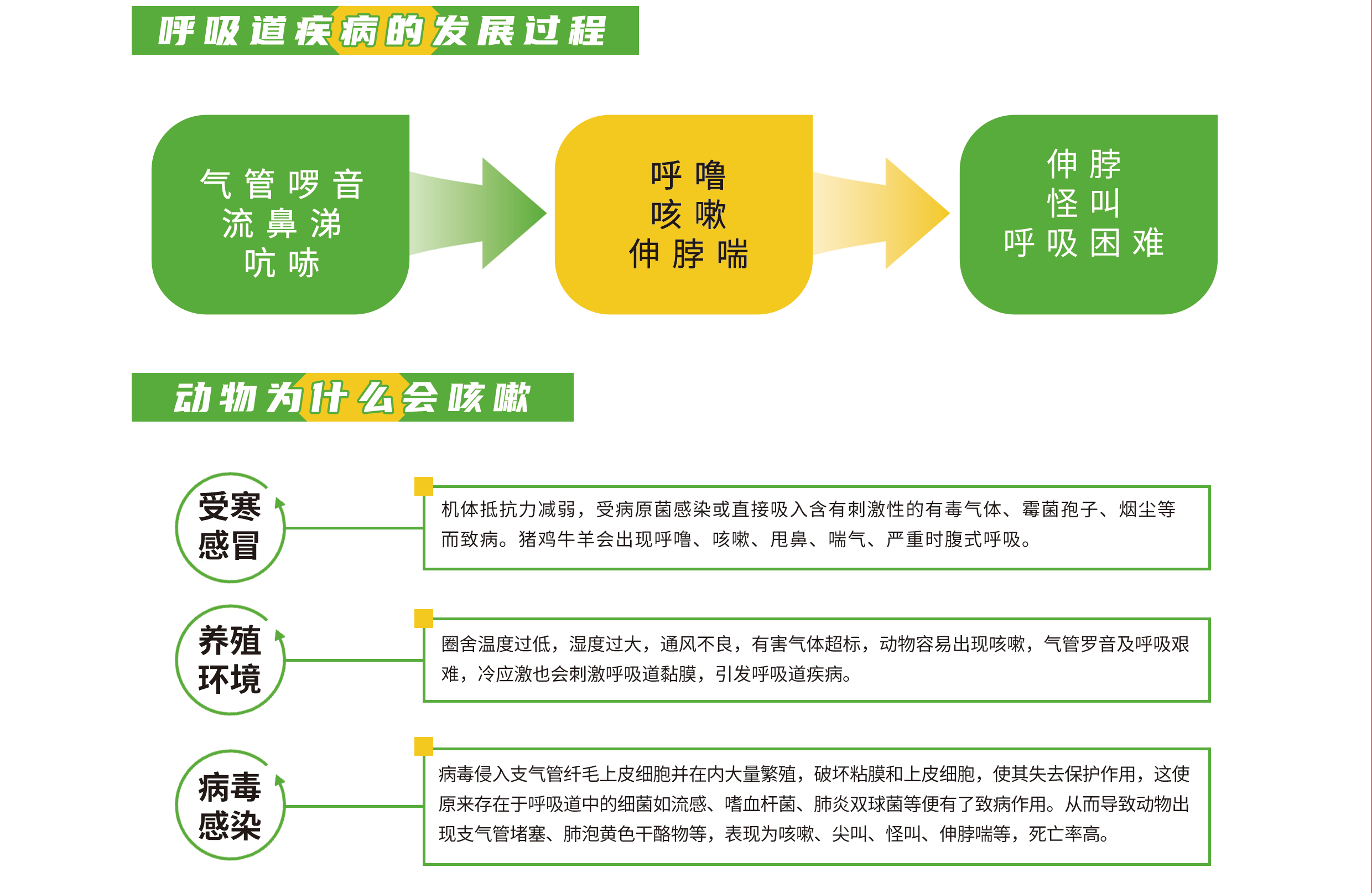 1703057345335623.png 44.png