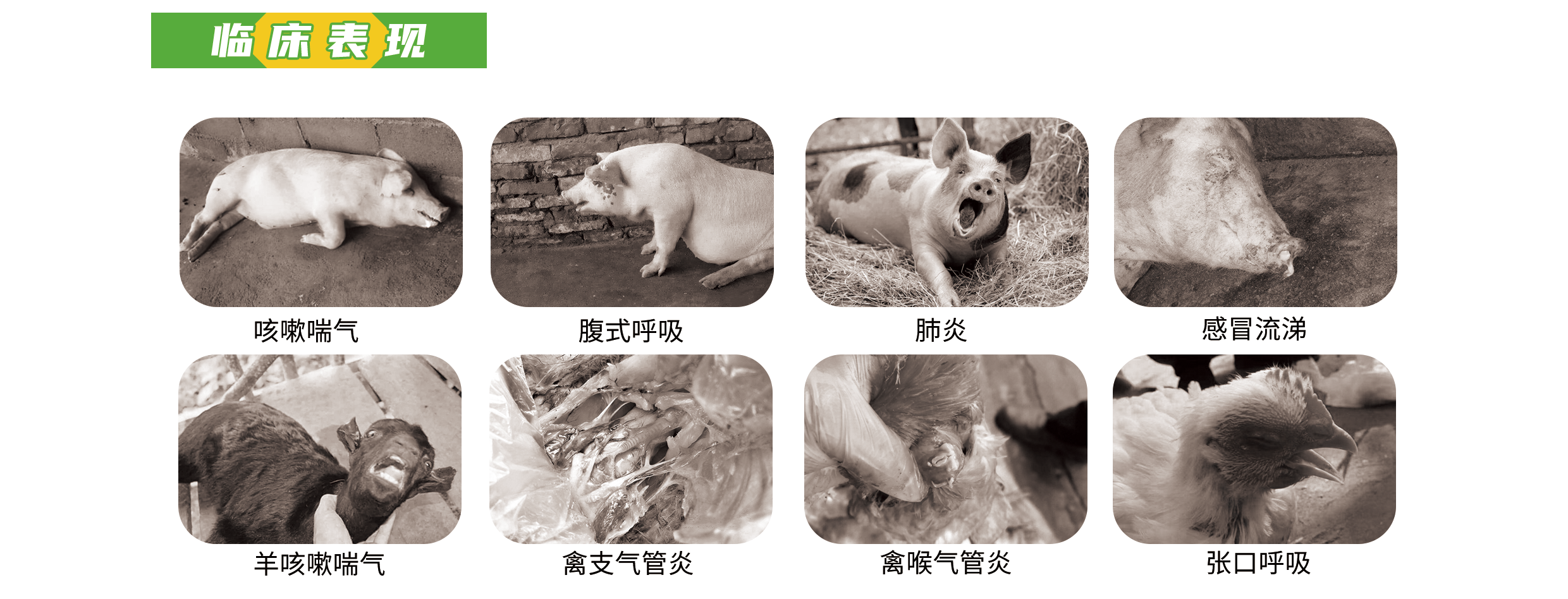 1703057374748031.png 55.png